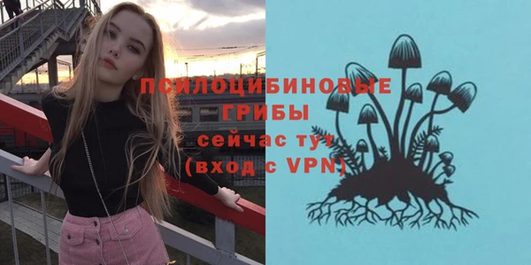 ГАЛЛЮЦИНОГЕННЫЕ ГРИБЫ Аркадак