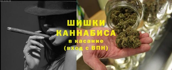 ГАЛЛЮЦИНОГЕННЫЕ ГРИБЫ Аркадак