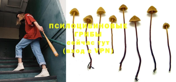 ГАЛЛЮЦИНОГЕННЫЕ ГРИБЫ Аркадак