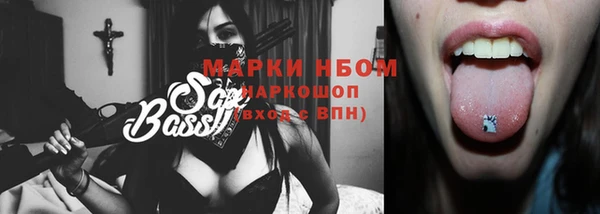 ГАЛЛЮЦИНОГЕННЫЕ ГРИБЫ Аркадак