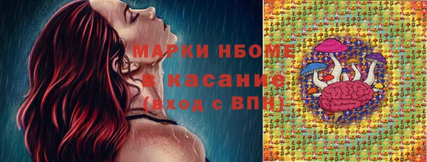 ГАЛЛЮЦИНОГЕННЫЕ ГРИБЫ Аркадак