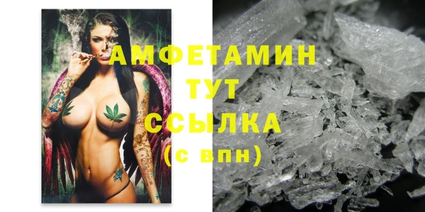 ГАЛЛЮЦИНОГЕННЫЕ ГРИБЫ Аркадак