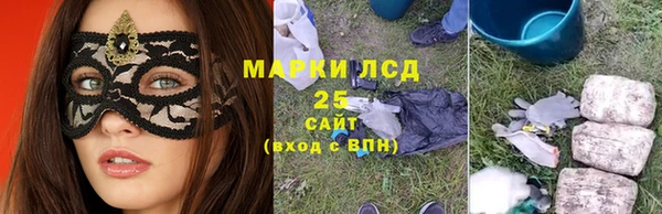 ГАЛЛЮЦИНОГЕННЫЕ ГРИБЫ Аркадак