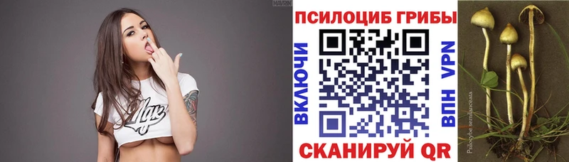 гидра ссылки  Сасово  Галлюциногенные грибы Psilocybine cubensis 